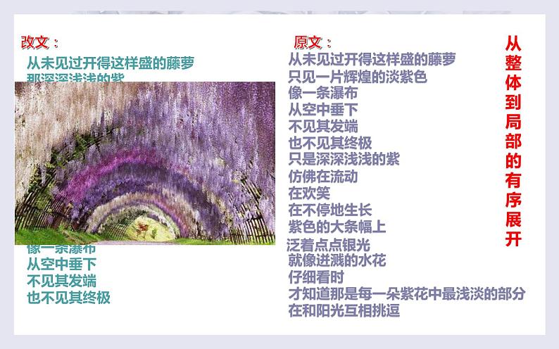 《紫藤萝瀑布》公开课课件第7页