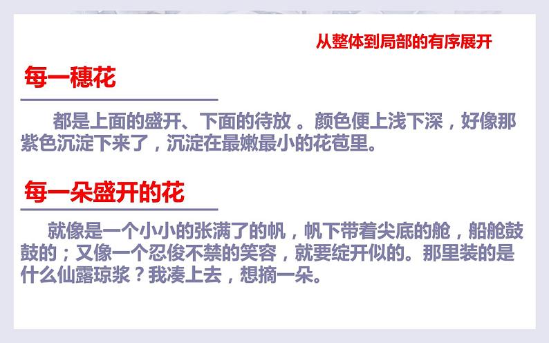 《紫藤萝瀑布》公开课课件第8页