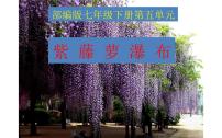 初中语文人教部编版七年级下册第五单元18 紫藤萝瀑布课堂教学ppt课件