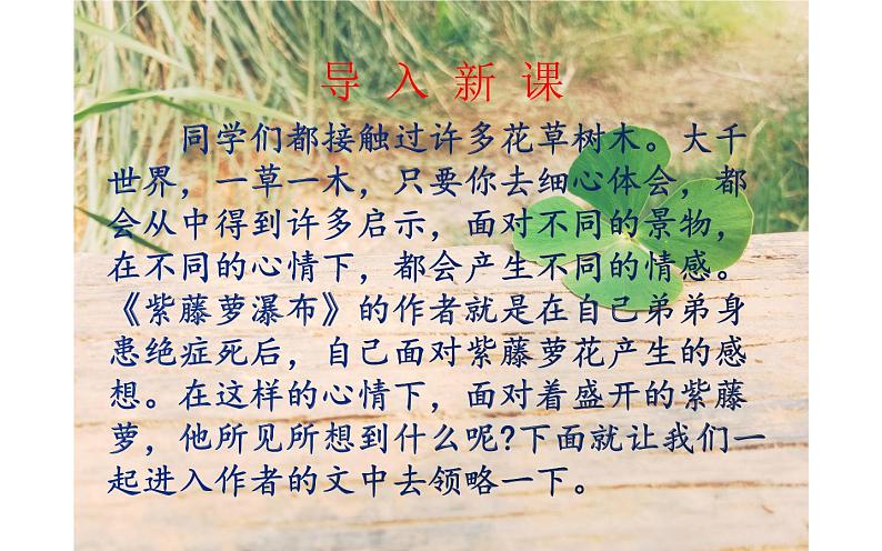 《紫藤萝瀑布》优质课课件05