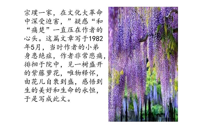 《紫藤萝瀑布》优质课课件07