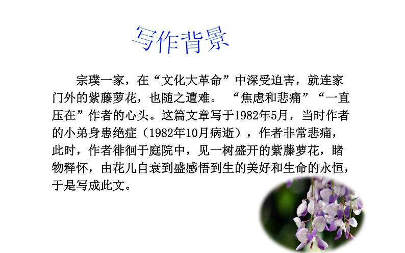 《紫藤萝瀑布》公开课优质课件03