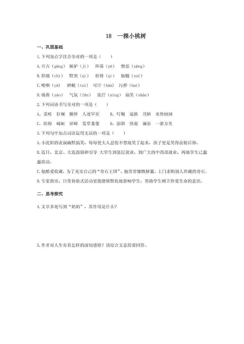 《一颗小桃树》分层作业含答案 练习01