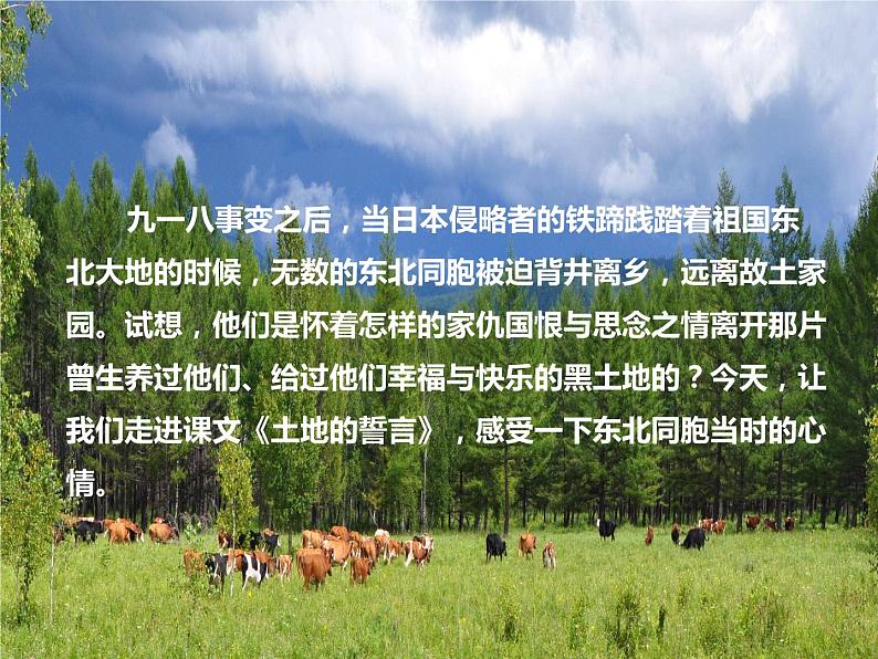 土地的誓言 课件PPT第1页