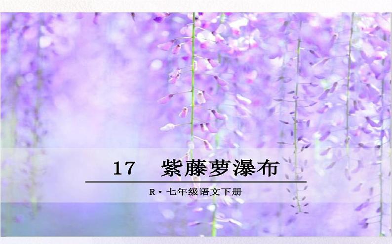 《紫藤萝瀑布》优质课教学课件第1页