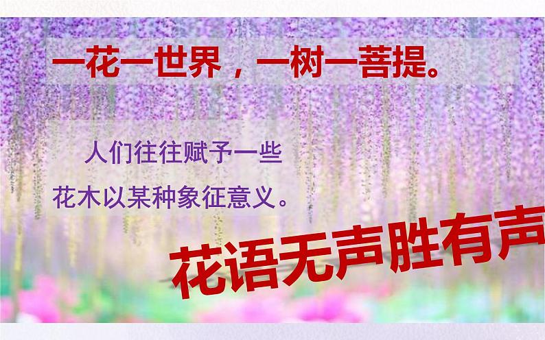 《紫藤萝瀑布》优质课教学课件第2页