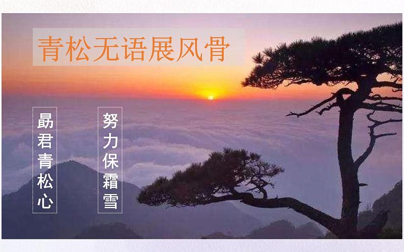 《紫藤萝瀑布》优质课教学课件第6页