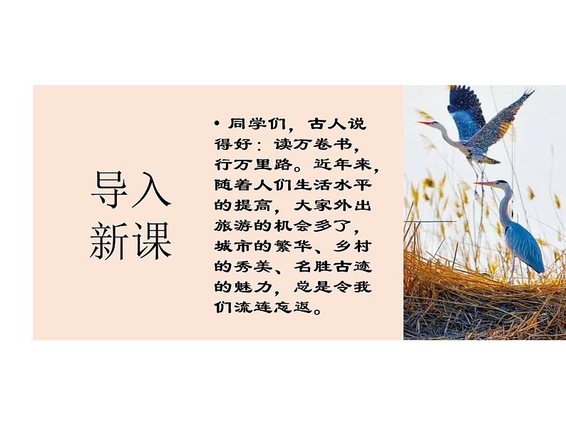 人教版八年级下语文第五单元学写游记 写作指导精品课件第2页