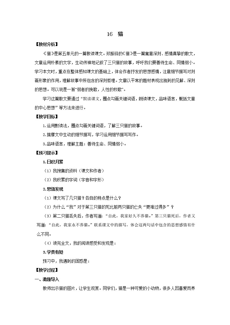 教案 《猫》优化创新教学设计01