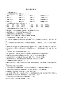 初中语文人教部编版七年级下册第三单元单元综合与测试单元测试精练
