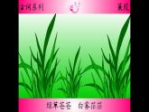 《蒹葭》优课创新课件