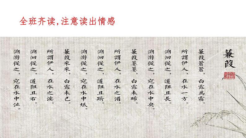 《蒹葭》优课创新课件07