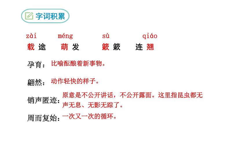 《大自然的语言》教研组优课课件第6页