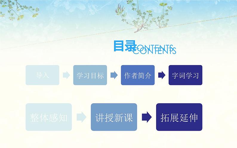 《时间的脚印》优课课件02