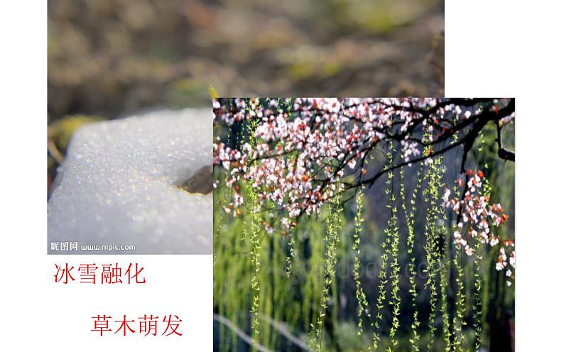 《大自然的语言》教师上课课件02