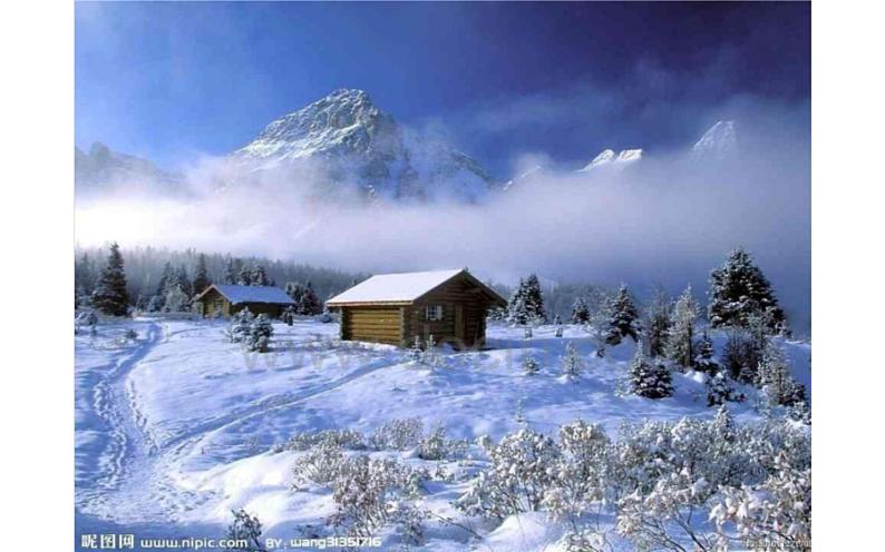 《大自然的语言》教师上课课件08