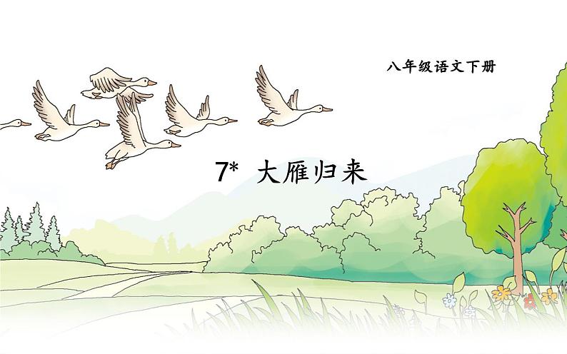 《大雁归来》教研组展示课件01