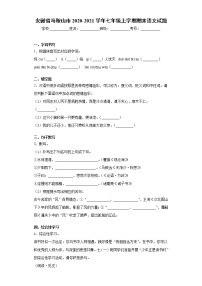 安徽省马鞍山市2020-2021学年七年级上学期期末语文试题（word版 含答案）