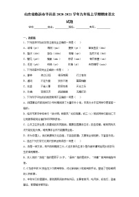 山东省临沂市平邑县2020-2021学年九年级上学期期末语文试题（word版 含答案）