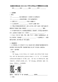 安徽省马鞍山市2020-2021学年九年级上学期期末语文试题（word版 含答案）