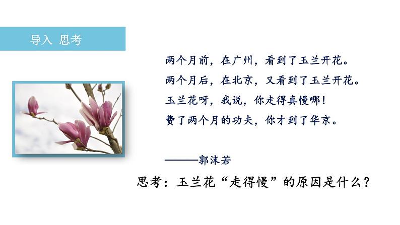 八下语文《大自然的语言》优创教学课件PPT05