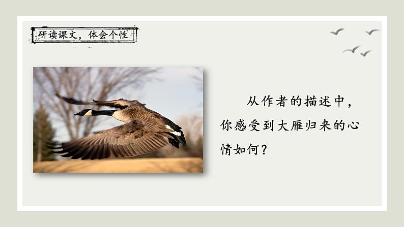 《大雁归来》优创教学课件第6页