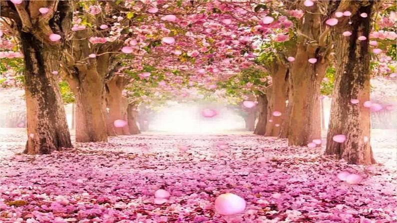 八下语文《桃花源记》优创教学课件PPT04