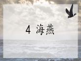 《海燕》创优公开课教学课件