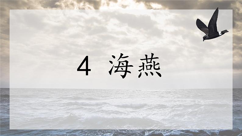 《海燕》创优公开课教学课件01