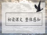 《海燕》创优公开课教学课件