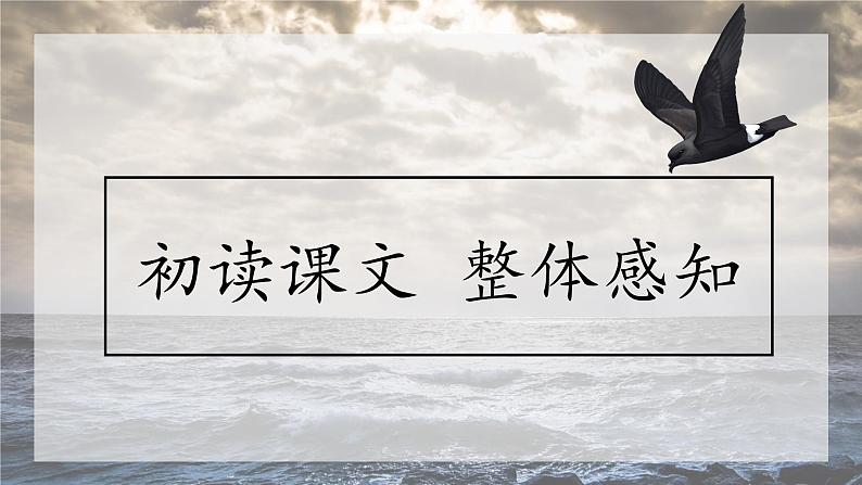 《海燕》创优公开课教学课件05