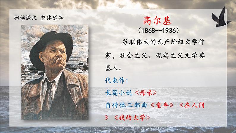 《海燕》创优公开课教学课件06