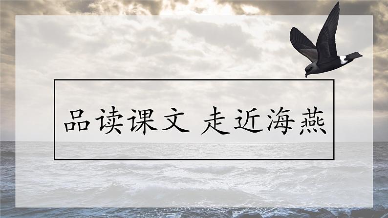 《海燕》创优公开课教学课件08