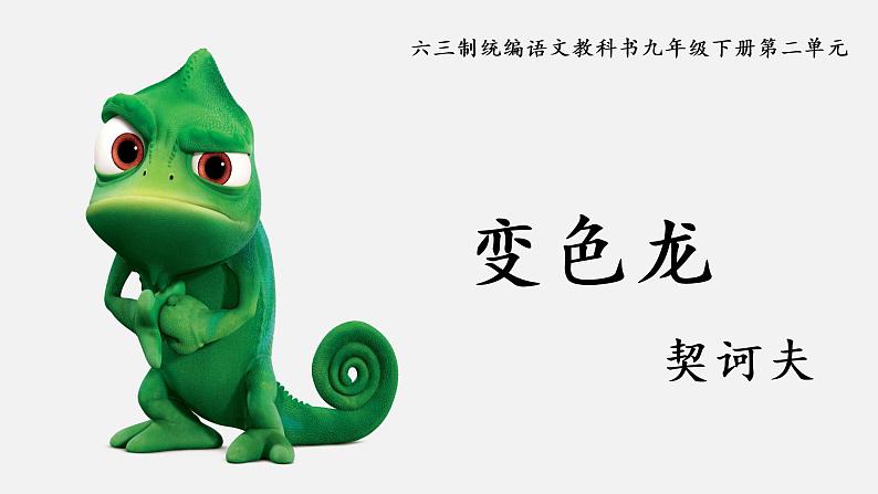 《变色龙》创优公开课教学课件01