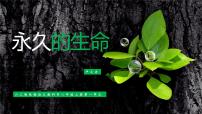 初中语文人教部编版八年级上册永久的生命教案配套ppt课件