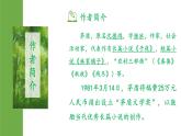 《白杨礼赞》优课一等奖教学课件