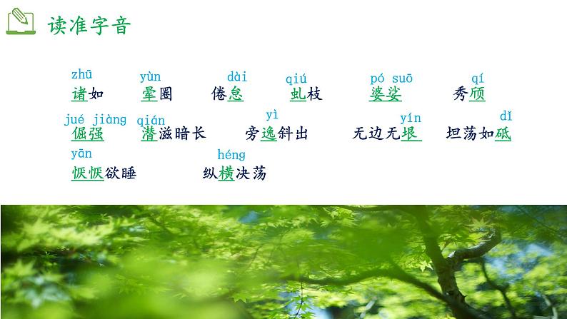 《白杨礼赞》优课一等奖教学课件04