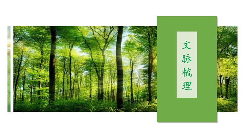 《白杨礼赞》优课一等奖教学课件08