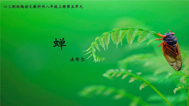 《蝉》优课一等奖教学课件01