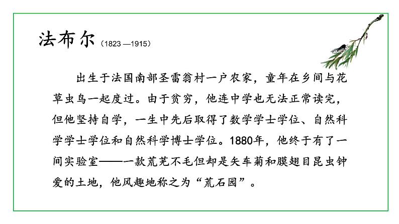 《蝉》优课一等奖教学课件06