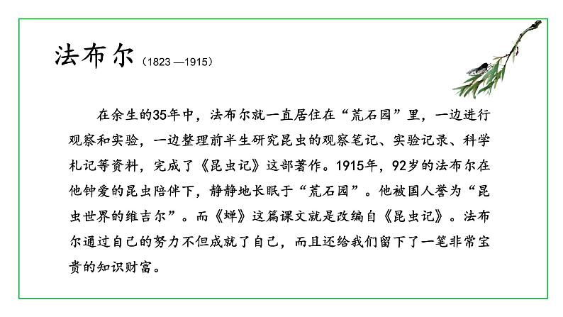 《蝉》优课一等奖教学课件07