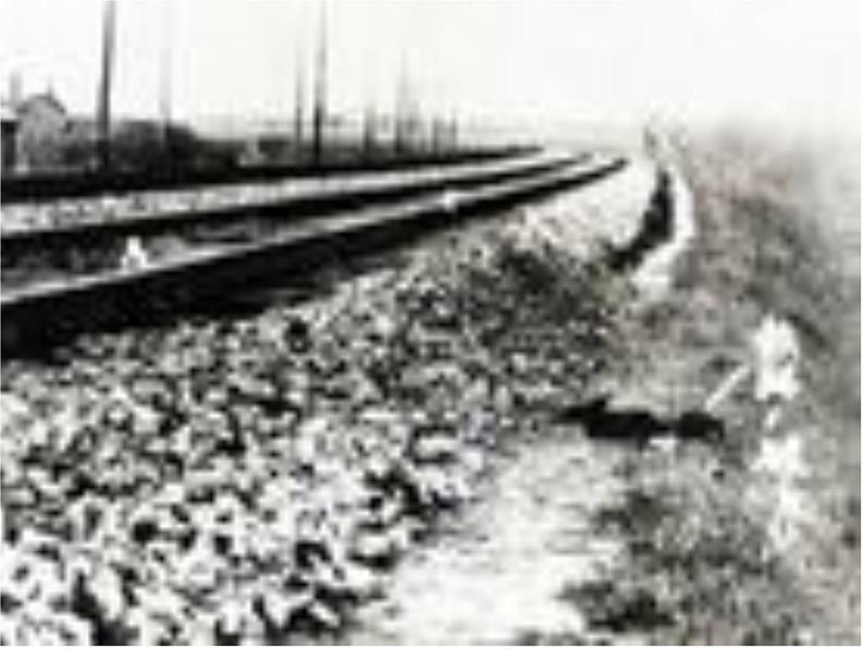 第8课 土地的誓言-2020-2021学年七年级语文下册同步优质课件（部编版）第4页