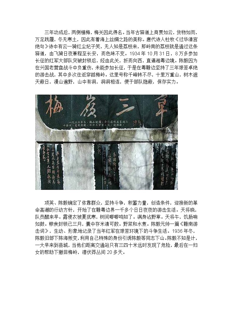 【精品】部编版九年级下册 语文 第1单元 第2课 梅岭三章  （课件+教案+素材+说课稿+导学案）03
