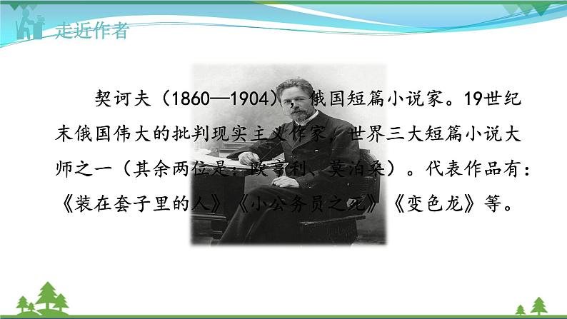 【精品】部编版九年级下册 语文 第2单元 第6课 变色龙（课件+教案+素材+说课稿+导学案）07