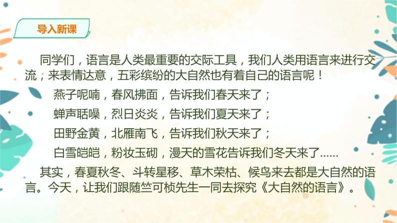 5《大自然的语言》2课时课件(共51张PPT)+教案+课后习题答案+素材02