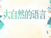 5《大自然的语言》2课时课件(共51张PPT)+教案+课后习题答案+素材