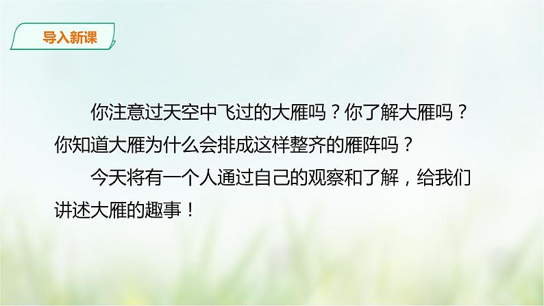 7《大雁归来》课件(共35张PPT)+教案+素材02