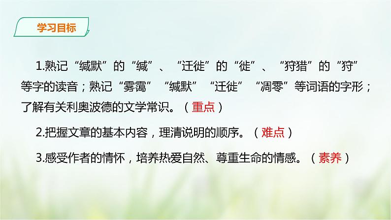 7《大雁归来》课件(共35张PPT)+教案+素材04