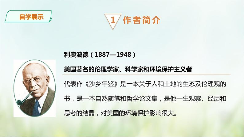 7《大雁归来》课件(共35张PPT)+教案+素材05