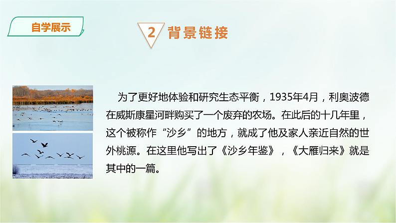 7《大雁归来》课件(共35张PPT)+教案+素材06